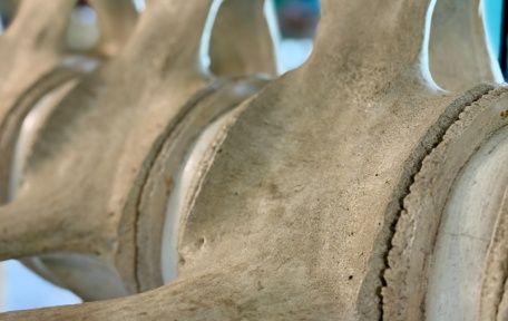 Working with Code Assistants: the Skeleton Architecture - image