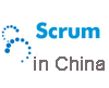 Improvement, Success and Failure: Scrum Adoption in China