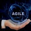 Agile Anti-Patterns: A Systems Thinking Approach