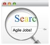 Finding an Agile Employer