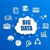Big Data and IT-Enabled Services: Ecosystem and Coevolution?