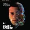 Entrevista sobre o livro AI Crash Course