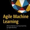 Q&A on the Book Agile Machine Learning