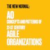 Q&A on The Book AO, Concepts and Patterns of 21-st Century Agile Organizations