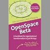 Q&A on the Book OpenSpace Beta - A Handbook for Organizational Transformation in Just 90 Days