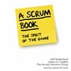 Q&A on A Scrum Book: The Spirit of the Game