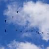Article Series: Cloud Migration