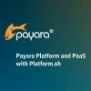 Cloud-native com Payara e Platform.sh