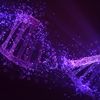 Applying Genetic Engineering to Your Organization Culture
