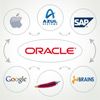Oracle and the Java Ecosystem