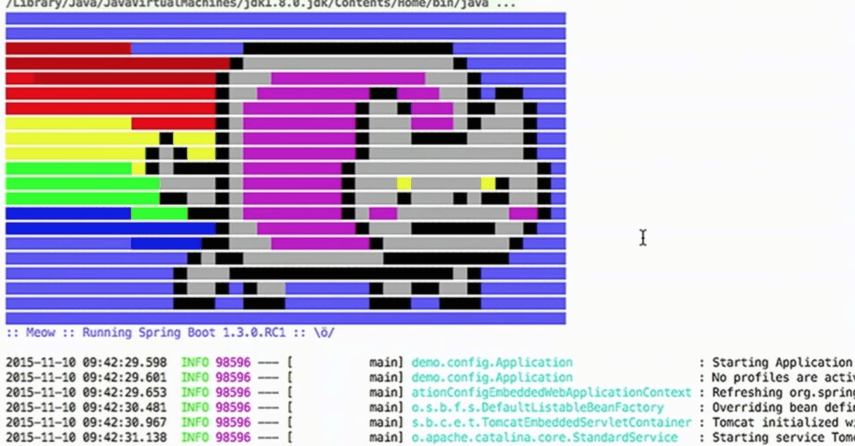 Spring Boot ASCII Art: Cat