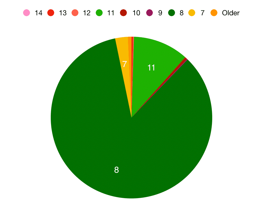 JVM Versions as a Pie Chart