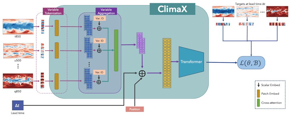 ClimaX Model Architecture