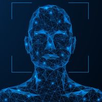 Architecting Secure and Scalable Facial Verification Systems