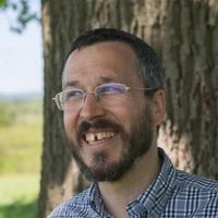 Cover image for Pony Language Designer Sylvan Clebsch on Pony’s Design, Garbage Collection, and Formal Verification