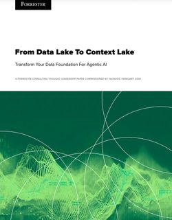 Beyond the Data Lake: Building AI-Ready Data Foundations for Agentic AI