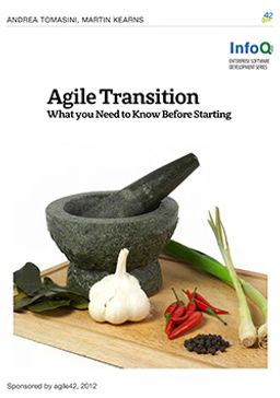 Agile Transition