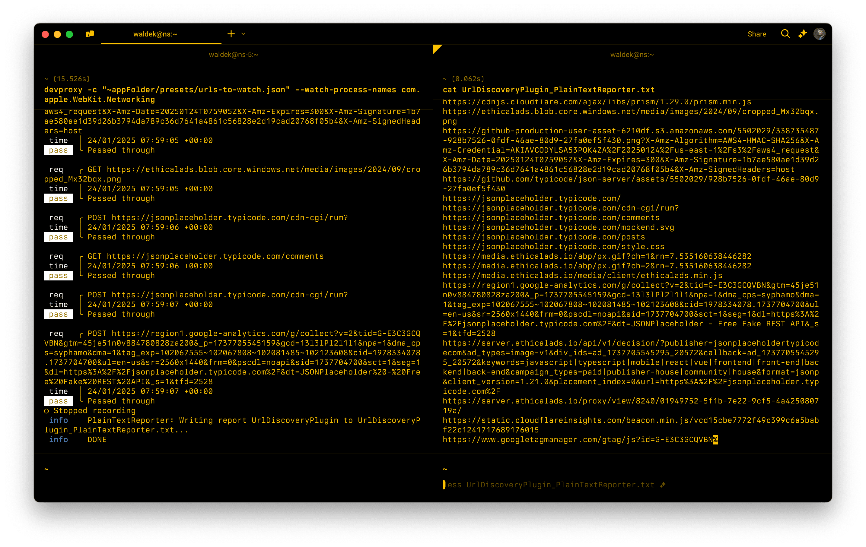 Screenshot of DevProxy URL discoverer