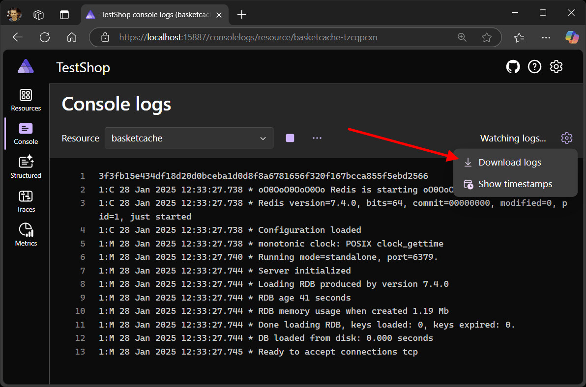Screenshot of console logs page with download button, turn off timestamps button, and logs without timestamps
